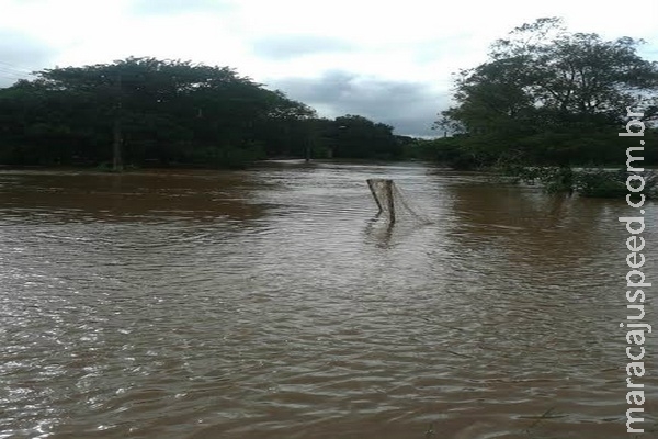 Adolescente pula em rio, arrastado sobrevive ao segurar em galho Adolescente pula em rio, arrastado sobrevive ao segurar em galho