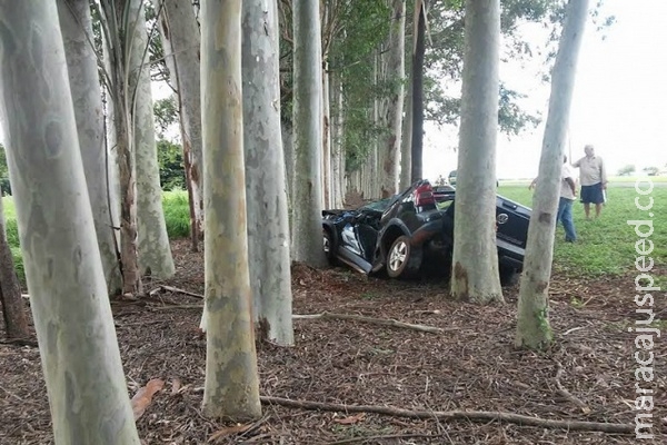 Homem capota veículo, bate em eucaliptos e morre