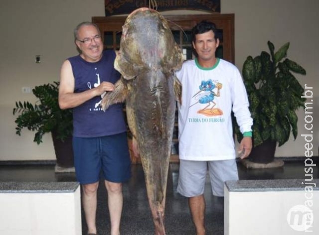 Pescadores fisgam jaú gigante em rio de Mato Grosso do Sul e fazem sucesso