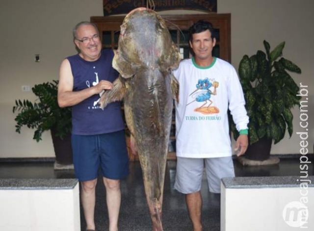 Pescadores fisgam jaú gigante em rio de Mato Grosso do Sul e fazem sucesso Pescadores fisgam jaú gigante em rio de Mato Grosso do Sul e fazem sucesso
