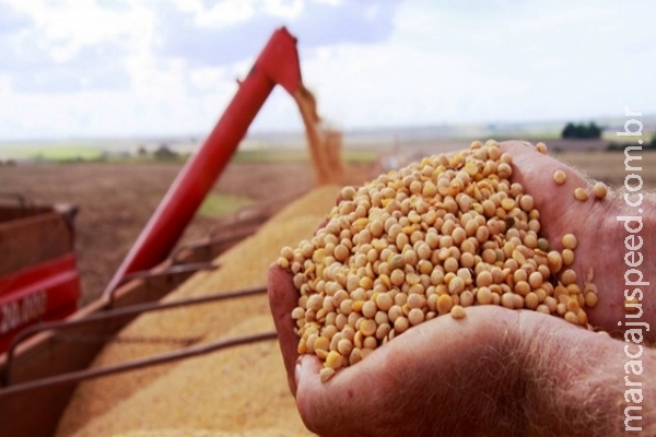 Produção brasileira de grãos deve chegar a 210,3 milhões de toneladas