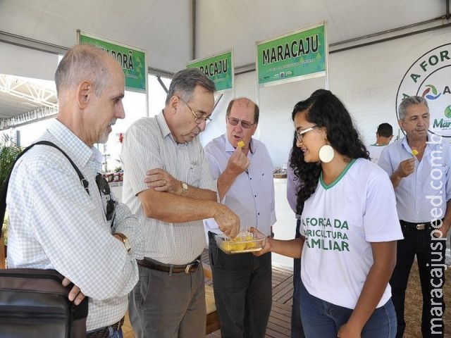 Nas Olimpíadas, Maracaju, Terenos e Naviraí representam a força da agricultura familiar de MS Nas Olimpíadas, Maracaju, Terenos e Naviraí representam a força da agricultura familiar de MS