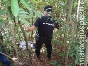 Homem é encontrado morto em estado de putrefação Homem é encontrado morto em estado de putrefação