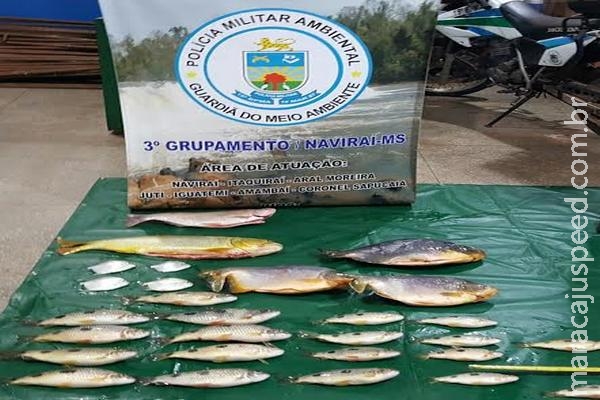 Polícia ambiental apreende 19 kg de peixes em extinção pescados irregularmente Polícia ambiental apreende 19 kg de peixes em extinção pescados irregularmente