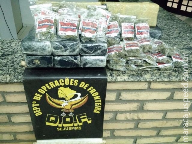 DOF apreende maconha “comercial” com jovem do RS DOF apreende maconha “comercial” com jovem do RS