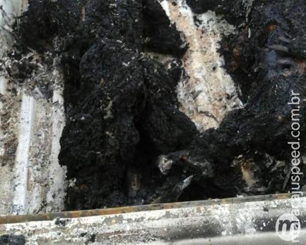 Ligação entre pistoleiro e policial carbonizados em Hilux é investigada