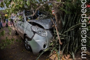 Mulher perde controle de veículo, atropela lixeira e se choca em árvore Mulher perde controle de veículo, atropela lixeira e se choca em árvore