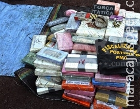 Polícia encontra 256 kg de cocaína em pneus avaliados em R$ 1,7 milhão