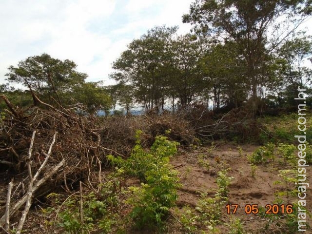 PMA autua fazendeiro em R$ 6 mil por desmatamento ilegal de 5,3 hectares de vegetação de cerrado PMA autua fazendeiro em R$ 6 mil por desmatamento ilegal de 5,3 hectares de vegetação de cerrado