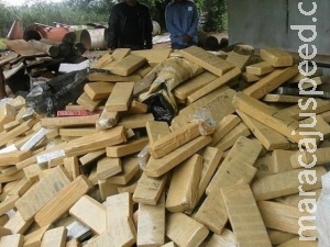 Polícia Civil destrói 5,3 toneladas de maconha em incineração de drogas