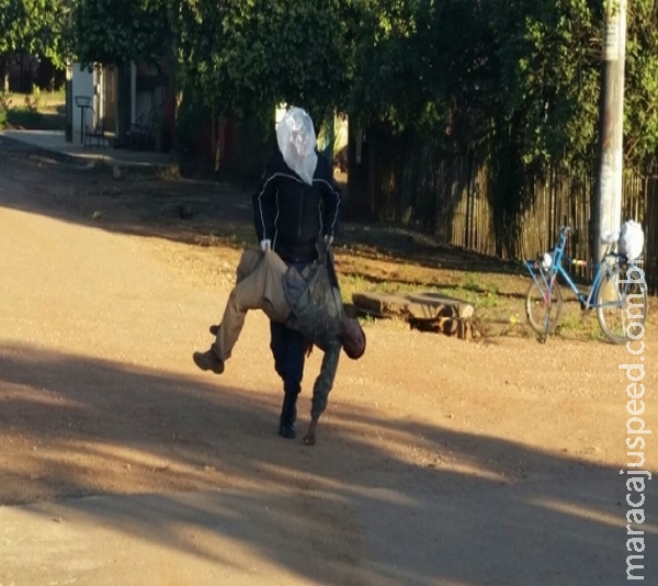 Com sacola na cabeça, PM socorre homem atacado por abelhas Com sacola na cabeça, PM socorre homem atacado por abelhas