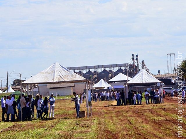 Expoagro 2016 em Dourados começou na sexta-feira e deve receber mais de 100 mil pessoas Expoagro 2016 em Dourados começou na sexta-feira e deve receber mais de 100 mil pessoas