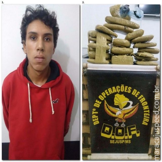 DOF apreende haxixe em pasta e em pó na região de Amambai DOF apreende haxixe em pasta e em pó na região de Amambai