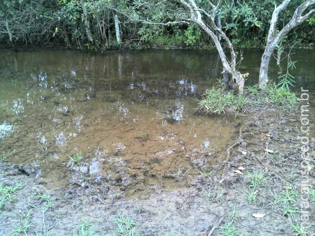 Pecuarista degrada nascentes e leva multa de R$ 2,3 milhões Pecuarista degrada nascentes e leva multa de R$ 2,3 milhões