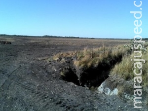 Após multa milionária, fazenda entra na mira do MPE por dano ambiental Após multa milionária, fazenda entra na mira do MPE por dano ambiental