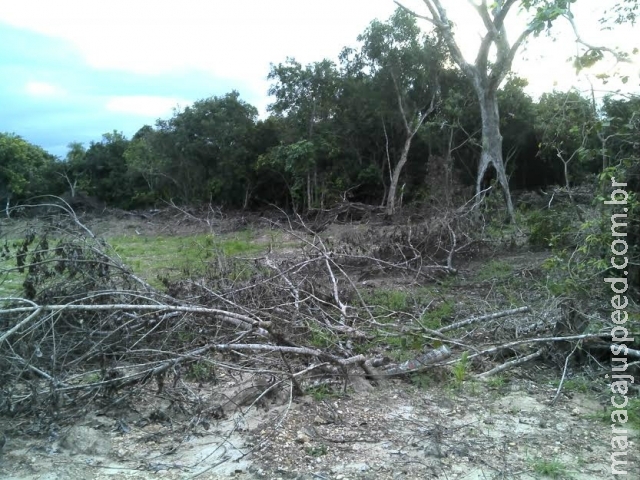 PMA autua imobiliária campo-grandense em R$ 16 mil por desmatamento ilegal PMA autua imobiliária campo-grandense em R$ 16 mil por desmatamento ilegal