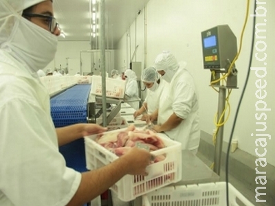 Ainda em queda, setor industrial em MS registra reação tímida Ainda em queda, setor industrial em MS registra reação tímida