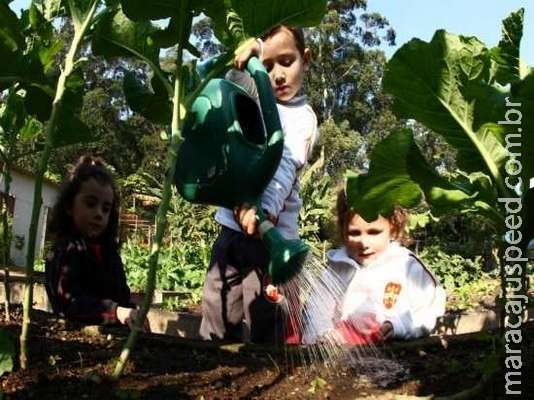 Escolas de São Paulo estimulam contato de alunos com a natureza
