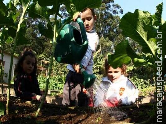 Escolas de São Paulo estimulam contato de alunos com a natureza Escolas de São Paulo estimulam contato de alunos com a natureza