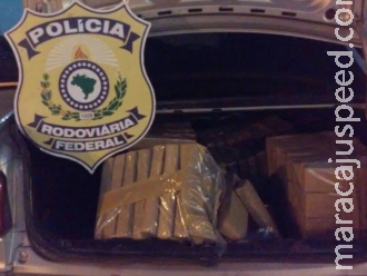 PRF barra 200 quilos de maconha que seguia para SP e prende traficante