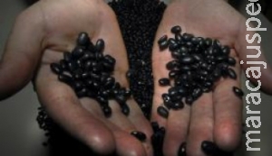 Operação Ágata 11 apreende quase R$ 10 milhões em soja sem documentação