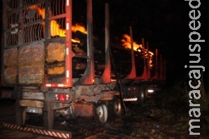 Super aquecimento de freios de bitrem causa incêndio de 40 mil kg de eucalipto