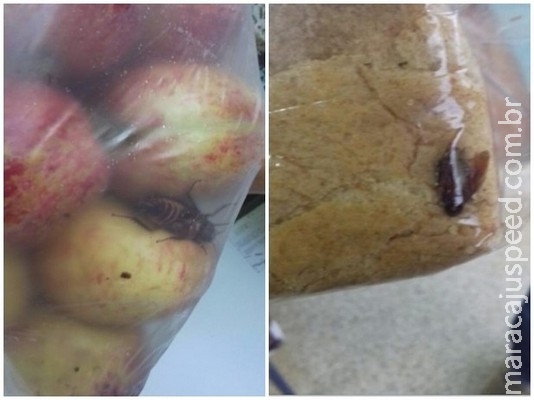Escola tem baratas na merenda e falta de água por dias no interior de SP Escola tem baratas na merenda e falta de água por dias no interior de SP