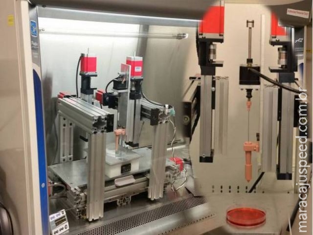 Pesquisadores produzem cartilagem em impressora 3D Pesquisadores produzem cartilagem em impressora 3D