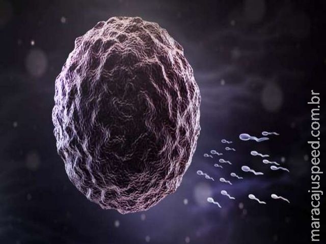  Bebês com três pais podem se tornar realidade em 2017