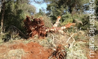 PMA autua proprietário rural campo-grandense em R$ 20 mil por desmatamento sem autorização