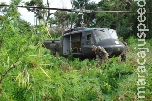Policial e plantador de maconha morrem em troca de tiros no lado paraguaio Policial e plantador de maconha morrem em troca de tiros no lado paraguaio