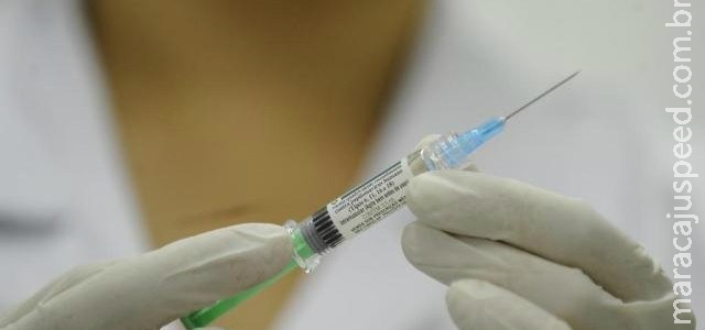 Vacina contra zika é testada com sucesso em camundongos