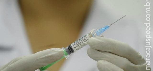 Vacina contra zika é testada com sucesso em camundongos Vacina contra zika é testada com sucesso em camundongos
