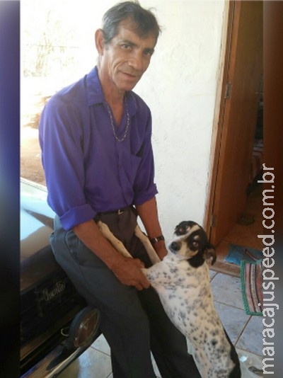 Vigia leva para casa cão que morava em carro batido no Detran de MS