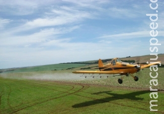 Justiça proíbe pulverizar agrotóxicos sobre terra indígena Justiça proíbe pulverizar agrotóxicos sobre terra indígena