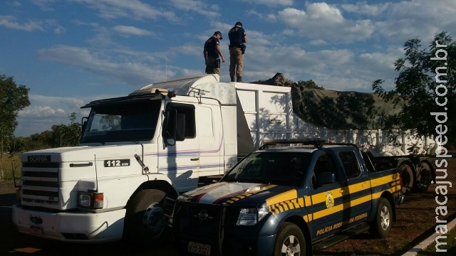 Fundo falso de carreta escondia mais de 1 tonelada de maconha