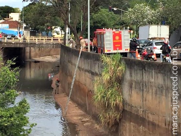 Bombeiros são aplaudidos após resgate de cão que caiu em córrego 