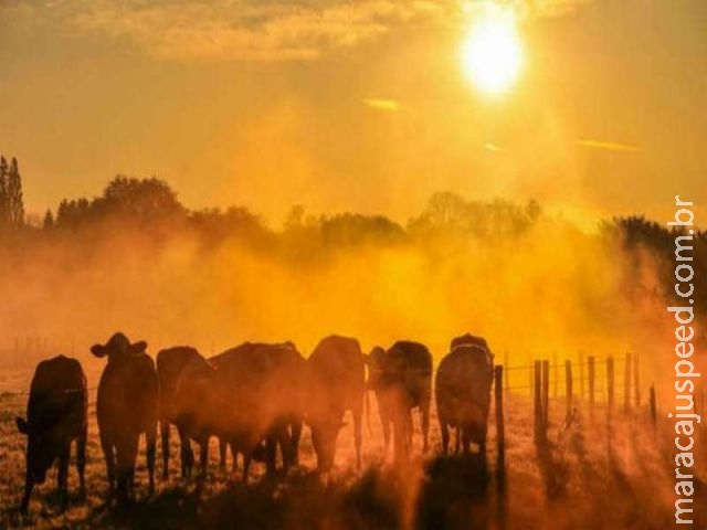  Agências da ONU debatem impacto arrasador do El Niño na América Central