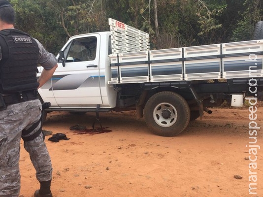 Motorista reage e é baleado em assalto do falso frete na Capital