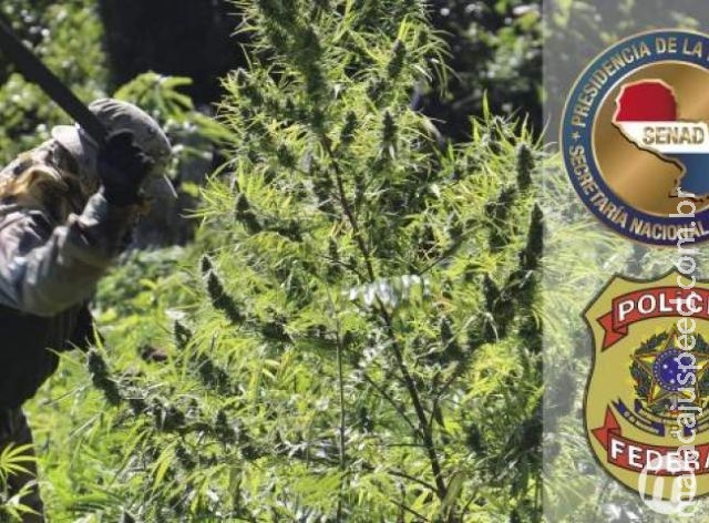 Parceria entre Brasil e Paraguai já desfalcou tráfico em R$ 700 milhões