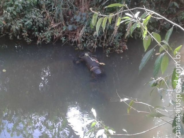 Homem encontrado em córrego foi executado a tiros; polícia identifica