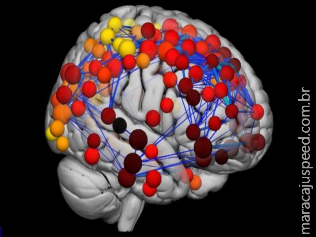 Cientistas desvendam segredo das mudanças no cérebro durante a adolescência
