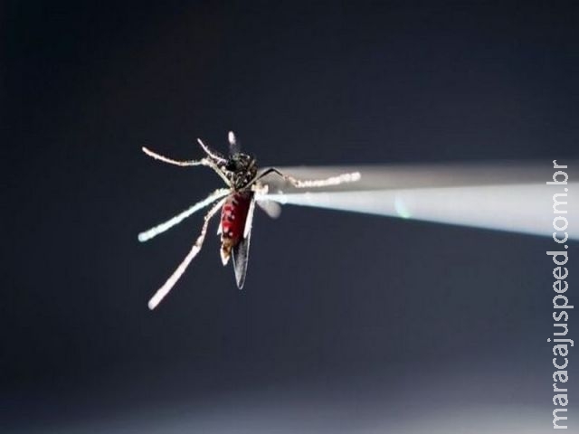O Brasil vai encolher com a zika?
