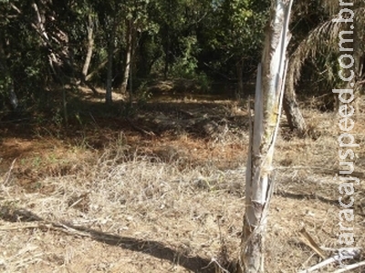PMA autua chacareiro em R$ 5 mil por degradar mata ciliar PMA autua chacareiro em R$ 5 mil por degradar mata ciliar