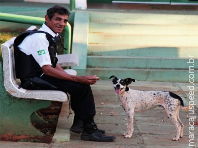 Após acidente e morte de dono, cão permanece com o veículo no Detran Após acidente e morte de dono, cão permanece com o veículo no Detran