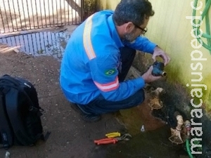 Rastreamento reduz em 34,5% perdas de água tratada no Canaã I em Dourados Rastreamento reduz em 34,5% perdas de água tratada no Canaã I em Dourados