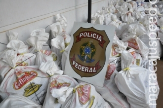 Farejador localiza carga de maconha em meio a soja