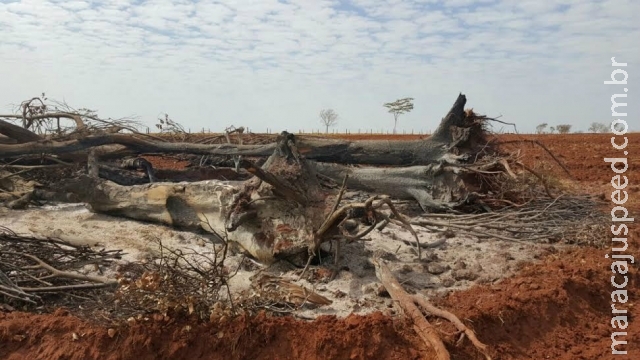 PMA autua fazendeiro em R$ 111 mil por incêndio em leiras de 1.112 hectares de vegetação