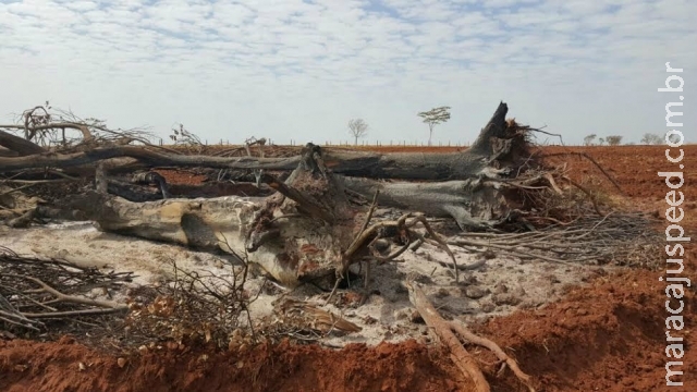 PMA autua fazendeiro em R$ 111 mil por incêndio em leiras de 1.112 hectares de vegetação PMA autua fazendeiro em R$ 111 mil por incêndio em leiras de 1.112 hectares de vegetação