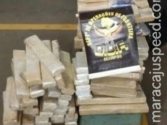 DOF apreende maconha em fundo falso de veículo